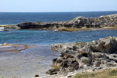 Batı Avustralya kıyılarındaki Rottnest Adası 'nın güzel kıyı görüntüsü. Temiz su, dalgalar, kireçtaşı kayaları ve bitki örtüsü gösteriliyor