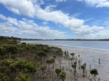 Victoria, Avustralya 'daki Hastings şehrinde kıyı, iskele ve tekneler yer almaktadır.