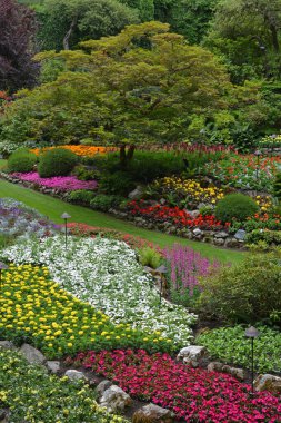 Colorful pacific northwest summer botanical garden