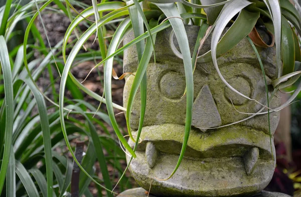 园中的装饰型Tiki面部种植机 — 图库照片