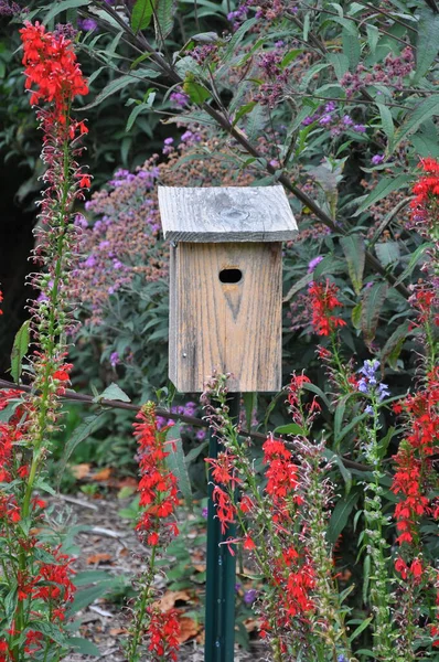 庭の風化した木造鳥小屋 — ストック写真
