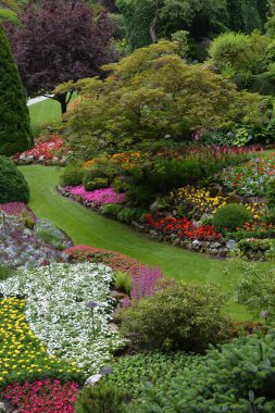 Güzel renkli çiçeklerin dikey çekimi.
