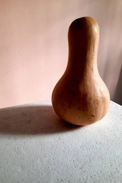 View Elongate Bottom Heavy Bottle Gourd Placed Floor Side Lighting — Stock Photo, Image