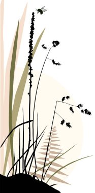 vektör çim siluetleri arka plan ve uçan arı