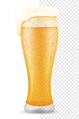 bira cam saydam hisse senedi vektör illüstrasyon izole beyaz arka plan üzerinde