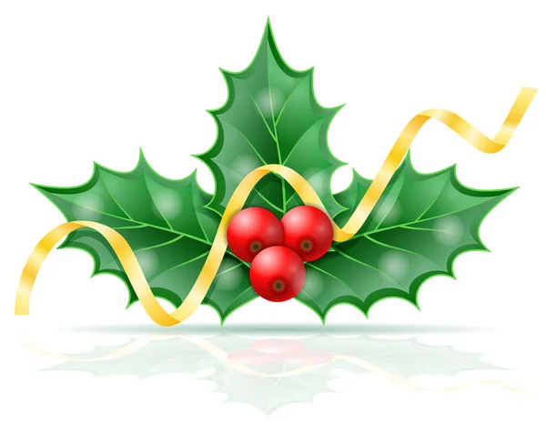 Vánoční Holly Bobule Vektorové Ilustrace Izolované Bílém Pozadí — Stockový vektor