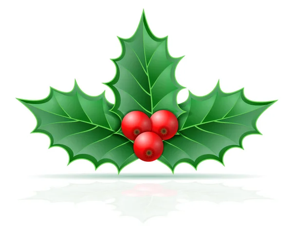 Karácsonyi Holly Bogyók Stock Vektor Illusztráció Elszigetelt Fehér Background — Stock Vector