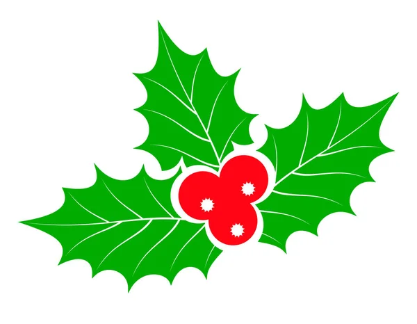 クリスマス ヒイラギの果実株式ベクトル イラスト白い背景で隔離 — ストックベクタ