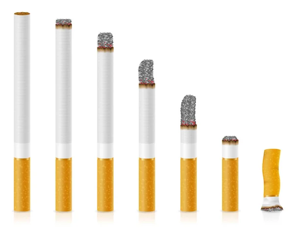 Için Için Yanan Sigara Farklı Uzunlukta Stokunun Illüstrasyon Izole Beyaz — Stok Vektör