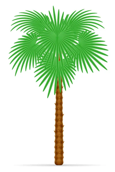 Palmboom Toebehoren Voor Rest Voorraad Vectorillustratie Geïsoleerd Witte Achtergrond — Stockvector