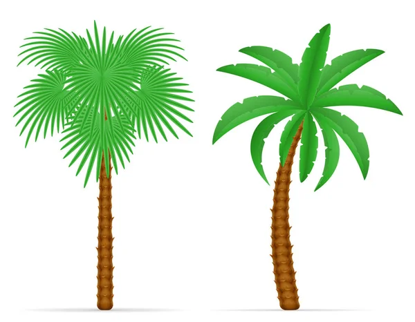 Palm Och Tillbehör För Resten Lager Vektorillustration Isolerade Vit Bakgrund — Stock vektor