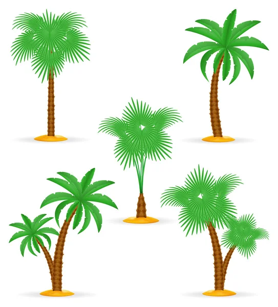 在白色背景上孤立的棕榈树热带股票矢量插图 — 图库矢量图片