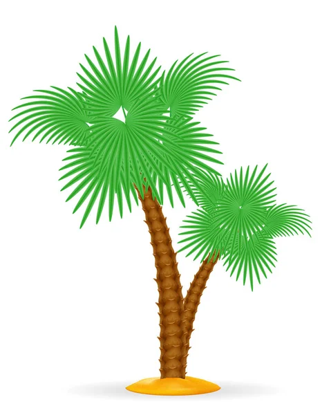 Palm Tree Trópusi Stock Vektor Illusztráció Elszigetelt Fehér Background — Stock Vector
