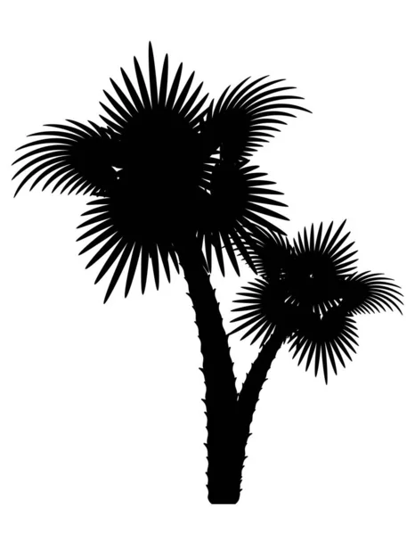 Palme Schwarze Umrisse Silhouette Stock Vektor Illustration Isoliert Auf Weißem — Stockvektor