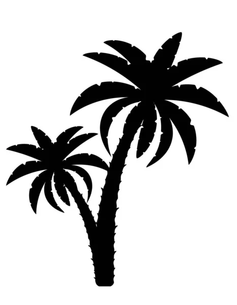 白色背景下的棕榈树黑色轮廓剪影股票矢量图 — 图库矢量图片