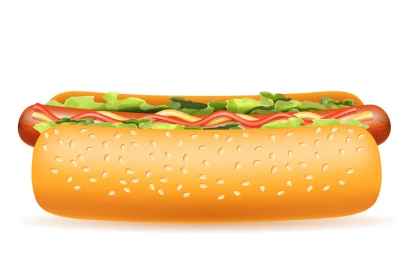Hot Dog Comida Rápida Vector Ilustración Aislado Sobre Fondo Blanco — Vector de stock