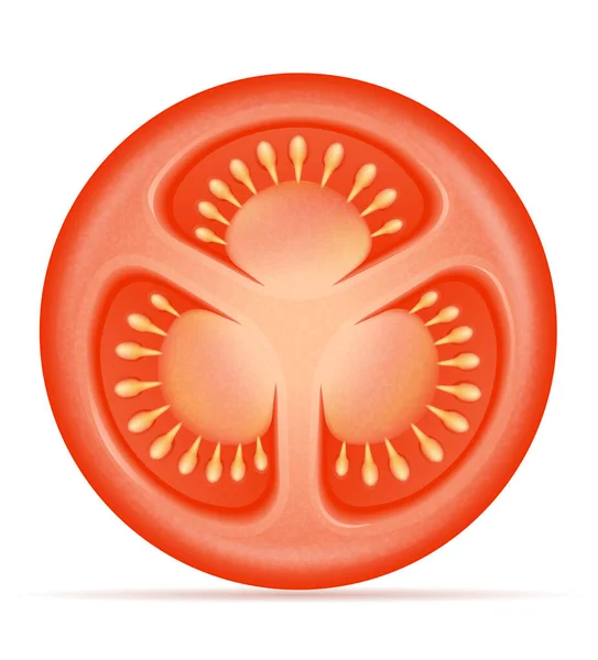 白い背景で隔離の熟した赤いトマト株式ベクトル図 — ストックベクタ