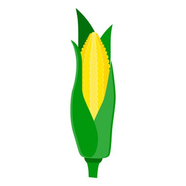 corn vegetable food flat icon vector illustration isolated on white background