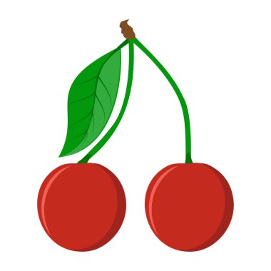 cherry berry food flat icon vector illustration isolated on white background