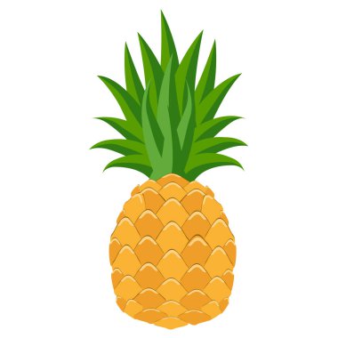pineapple fruit food flat icon vector illustration isolated on white background