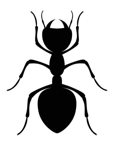 蚂蚁昆虫野生动物病媒图解在白色背景下被分离 — 图库矢量图片