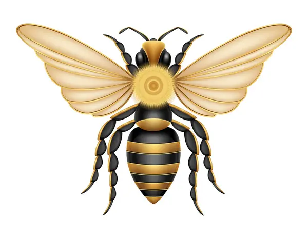 Arı Böcekleri Vahşi Yaşam Hayvanları Vektör Illüstrasyonu Beyaz Arka Planda — Stok Vektör