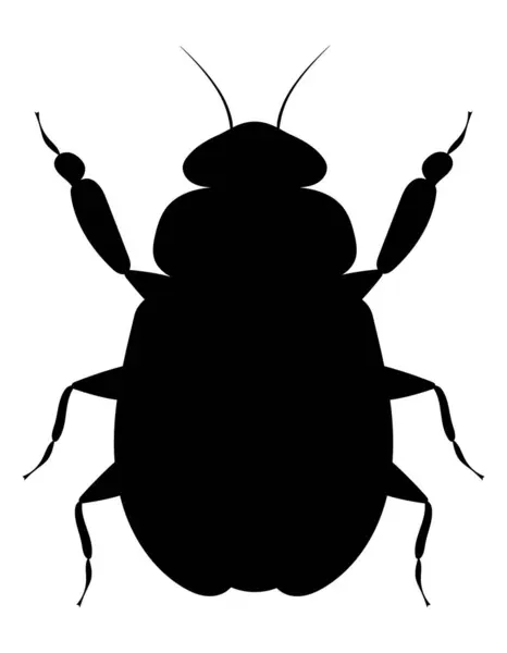 Käfer Insekten Wildtiere Vektor Illustration Isoliert Auf Weißem Hintergrund — Stockvektor