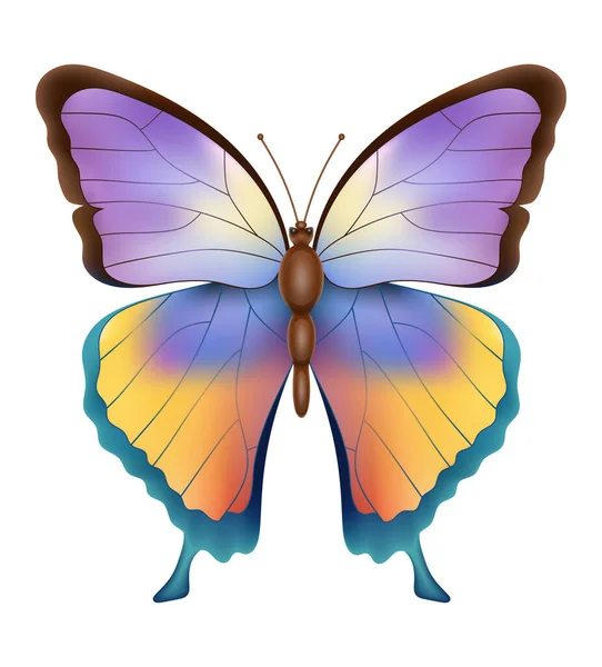 蝶は白い背景で隔離された野生動物のベクターのイラストを昆虫 — ストックベクタ