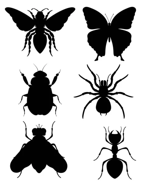 Uppsättning Insekter Vilda Djur Vektor Illustration Isolerad Vit Bakgrund — Stock vektor