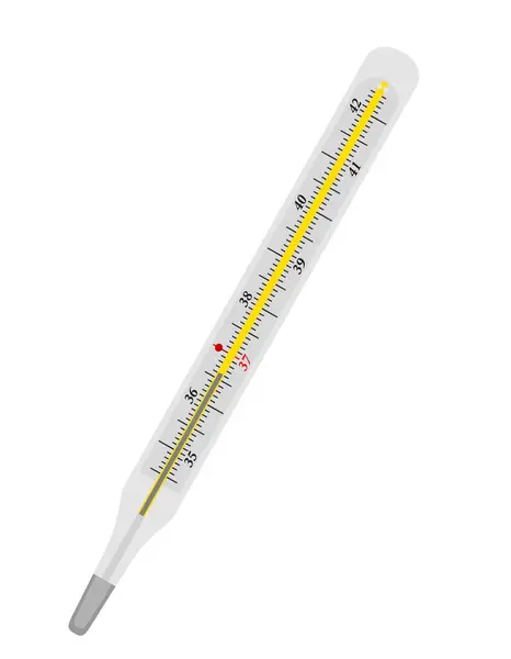 Mercury Medical Thermometer Stock Vector Illustration Isoladet Sobre Fundo Branco — Vetor de Stock