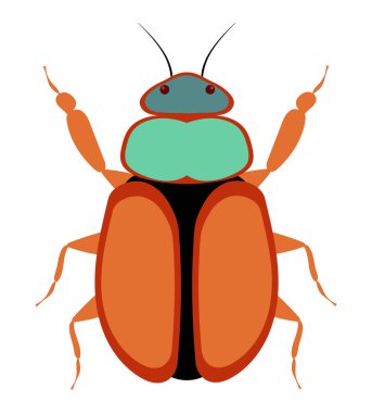 düz stil böcekler vahşi yaşam hayvanları vektör illüstrasyonları beyaz arka planda izole