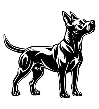 Köpek logosu yaratıcı ve özgün. Beyaz arka planda izole edilmiş iş ya da şirket logoti vektör çizimi için.