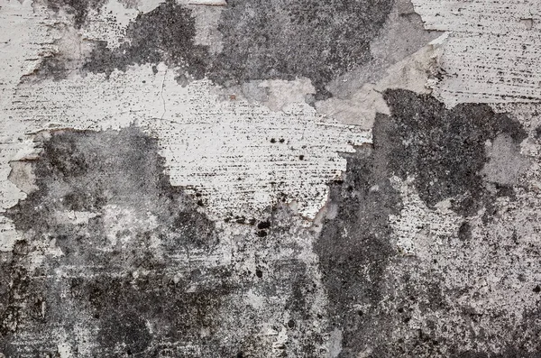 Achtergrond Van Cement Muur Met Olie Gebarsten Textuur — Stockfoto