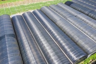 Puli kasabasındaki seranın havadan görünüşü, Nantou, Tayvan