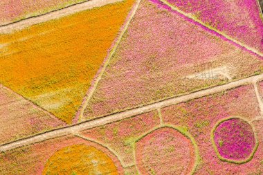 Daxi, Tayvan - 14 Kasım 2019: Taoyuan, Tayvan, Asya 'daki Taoyuan Çiçek Festivali' nin Daxi 'deki hava manzarası