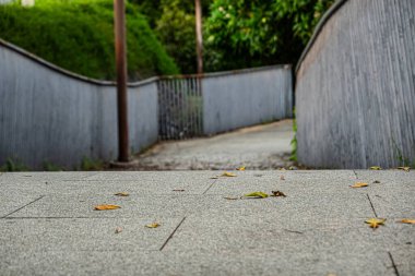 Taichung City, Tayvan 'daki Maple Garden' da patika