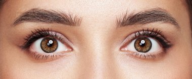 Uzun kirpikleri olan güzel dişi gözler. Kirpik uzantıları. Makyaj, kozmetik, güzellik. Yaklaş, makro.