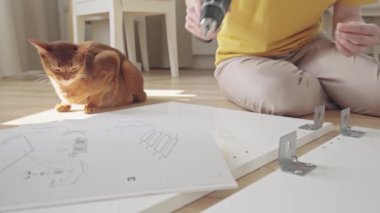 Elinde yeni evdeki mobilyaları monte etmek için elektrikli matkap tutan genç bir kadın.