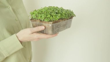 Elinde mikroyeşillikler olan bir kadın. Bahçecilik ve ekimcilik.