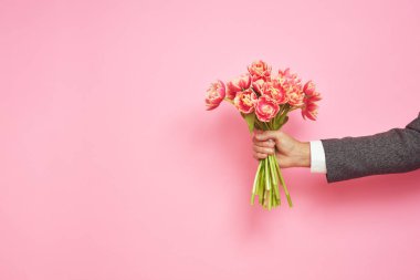 Romantik bir adam, 8 Mart Sevgililer Günü 'nde izole edilmiş pembe arka planda bir buket lale sunar.