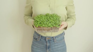 Elinde mikroyeşillikler olan bir kadın. Bahçecilik ve ekimcilik.