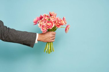 Romantik bir adam, 8 Mart Sevgililer Günü 'nde izole edilmiş mavi arka planda bir buket lale sunar.