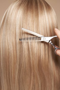 Kuaför uzun sarı saçlarını makasla keser. Kuaför, kuaför. Bakım ve güzellik ürünleri. Boyalı saç.