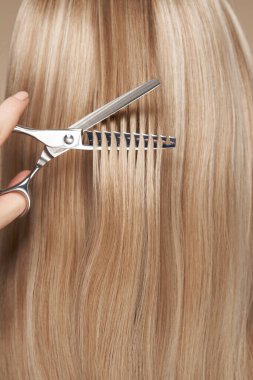 Kuaför uzun sarı saçlarını makasla keser. Kuaför, kuaför. Bakım ve güzellik ürünleri. Boyalı saç.