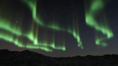 Yeşil Aurora Borealis yıldızlı kuzey ışıkları