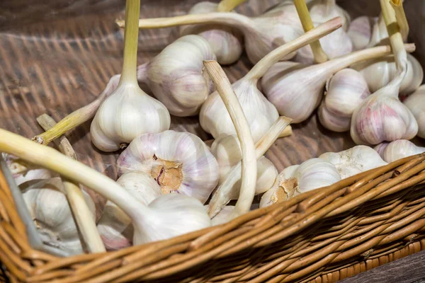 Image Some Garlic Basket — Fotografia de Stock
