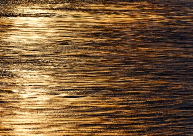 Golden Light on Calm Sea at Sunset