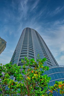 FORT LAUDERDALE, FLORIDA - December 14, 2022: Dade-Broward County is the cultural and economic center of South Florida and is a major leader in boating, tourism, the arts, and the cruising industry.