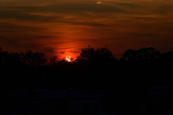 Krásný Západ Slunce Nad Stromy Siluetted Soumraku — Stock fotografie