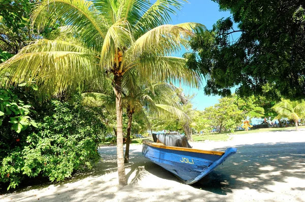 Labadee Haiti December 2022 Labadee是一个位于海地北部海岸的港口 这是一个私人度假胜地 租给皇家加勒比公司 供其3条游轮乘客使用 — 图库照片